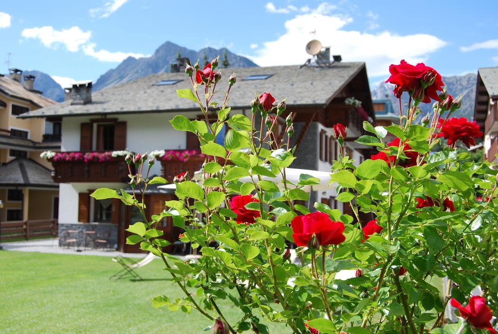 Chalet Gardenia بورمْيو المظهر الخارجي الصورة